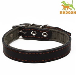 Ошейник комбинированный кожа/брезент, 53×2.5 см, ОШ 35-45 см, чёрный
