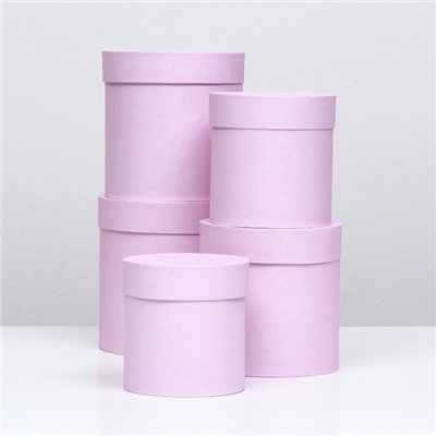 Набор круглых подарочных коробок 5 в 1 «Пыльная роза», 20×20 - 15×15