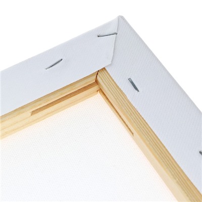 Холст на подрамнике, хлопок 100%, 1.6×80×100 см, акриловый грунт, среднезернистый, 380 г/м²