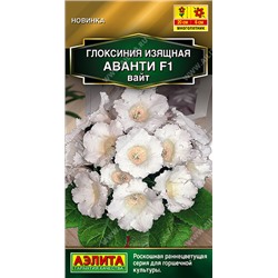 Глоксиния Аванти Вайт F1 (Код: 93546)