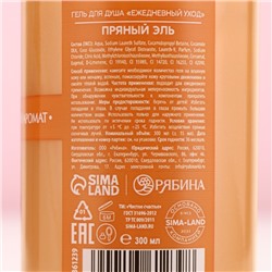 Гель для душа, 300 мл, аромат пряный эль, Чистое счастье
