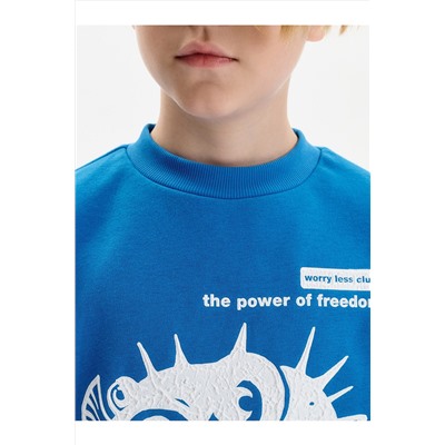 Толстовка для мальчиков PELICAN, 1232796