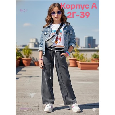 штаны 2052612-1