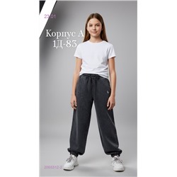 штаны 2055312-2