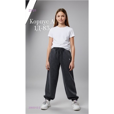 штаны 2055312-2