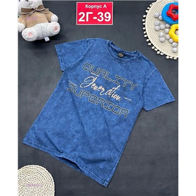 футболка 1904405-2