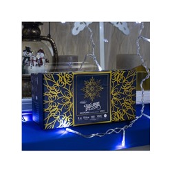 Гирлянда «Бахрома» 3×0.6 м, IP44, УМС, прозрачная нить, 160 LED, свечение белое, мерцание белым, 220 В