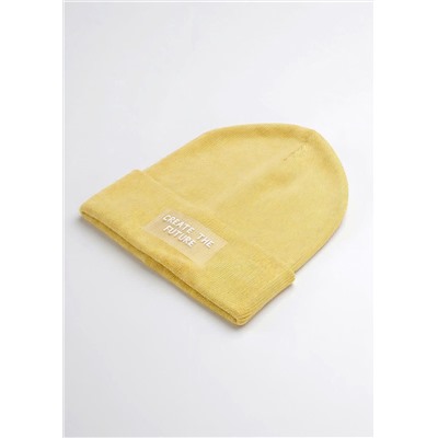 ЭЙС Шапка 603247ха