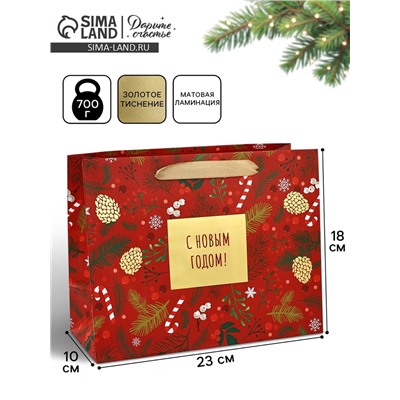 Пакет подарочный новогодний ламинированный «С Новым годом», MS 23×18×10 см