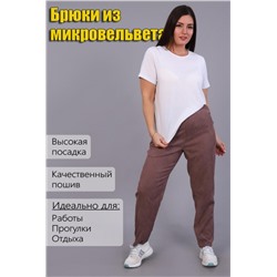 Брюки 32809 (Светло-коричневый)