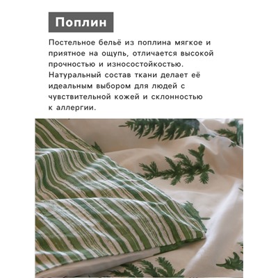 Постельное бельё 2-спальное «Этель. Елки», поплин