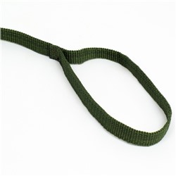 Поводок, 3 м, ширина 1.5 см, зелёный