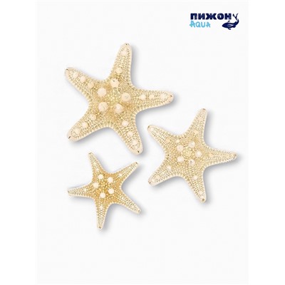 Набор из 3 морских звезд, размер 5-7 см, 7-10 см, 10-12 см, белый