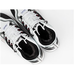 Зимние Ботинки Adidas Terrex Winter