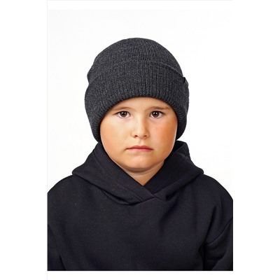 Шапка CLEVER, 820607