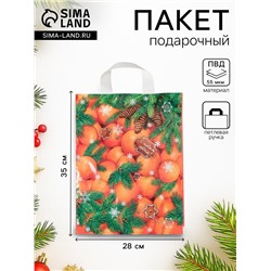 Пакет подарочный «Новогодний десерт», полиэтиленовый с петлевой ручкой, 28×35 см