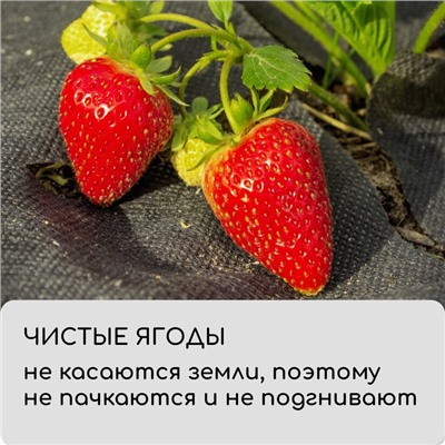 Материал мульчирующий, с перфорацией, 5×0.8 м, плотность 80 г/м², спанбонд с УФ-стабилизатором, чёрный, Greengo, Эконом 30%