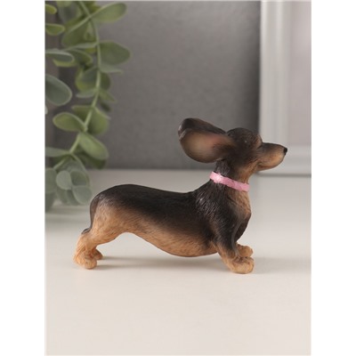 Фигурка полистоун «Такса с летящими ушами», 10×3×6.5 см