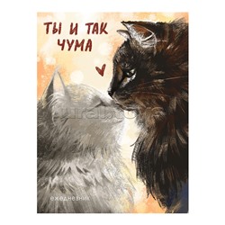 Ежедневники А6. недатир., 128л. "Ты и так чума"