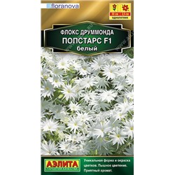 Флокс Попстарс белый (Код: 89975)