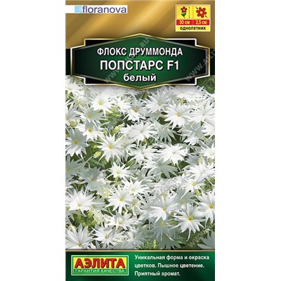 Флокс Попстарс белый (Код: 89975)