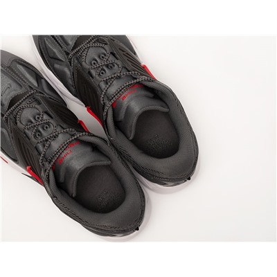 Кроссовки Nike Air Pegasus 2K5