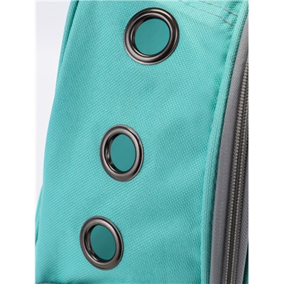 Рюкзак для переноски животных, 31×28×42 см, прозрачный, бирюзовый