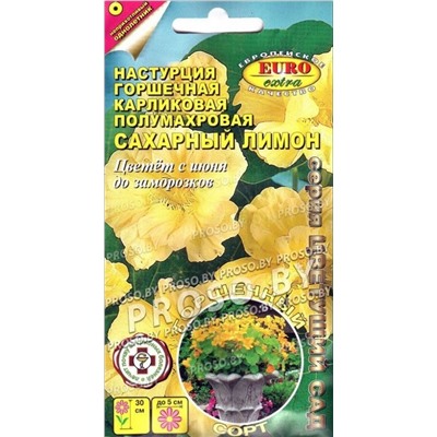Настурция Сахарный лимон горшечная карлик (Аэлита)
