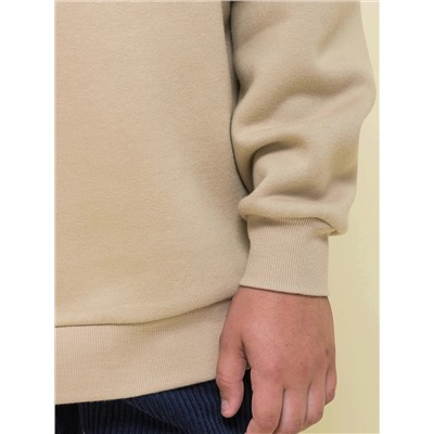 PELICAN Толстовка BFNK3337