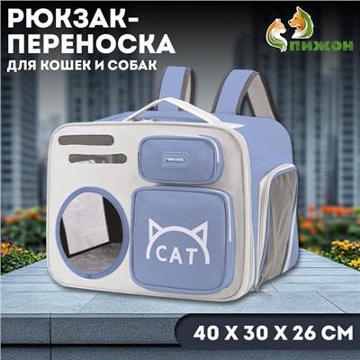 Рюкзак для переноски «Котик», прозрачный, 40×30×26 см, серо-фиолетовый