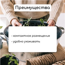 Набор для рассады: стаканы по 320 мл (18 шт.), поддон 51×26 см, Greengo