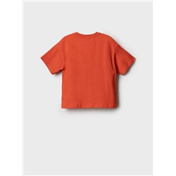 Фуфайка трикотажная для мальчиков (футболка)