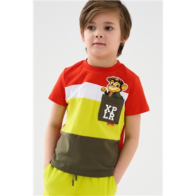 Фуфайка трикотажная для мальчиков (футболка) PLAYTODAY, 1240607