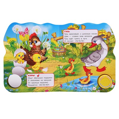 Домашние животные Степанов В.А. (1 кнопка 3 песенки) формат: 150х185 мм,