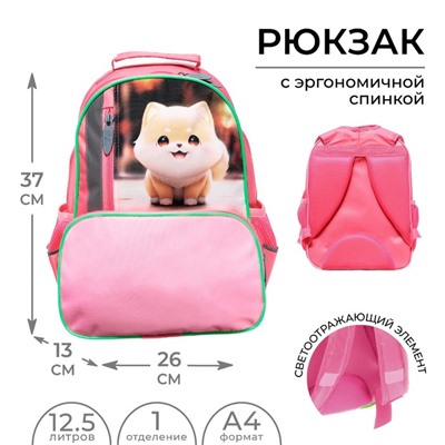 Рюкзак школьный, эргономичная спинка, 37×26×13 см «Сиба»