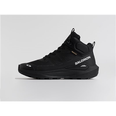 Зимние Кроссовки Salomon Elixir Activ Mid GTX