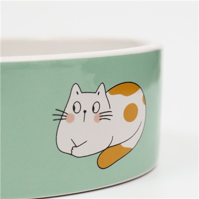 Миска «Котяры», 300 мл, 12.5×12.5×4.5 см, керамика, зелёная, белая