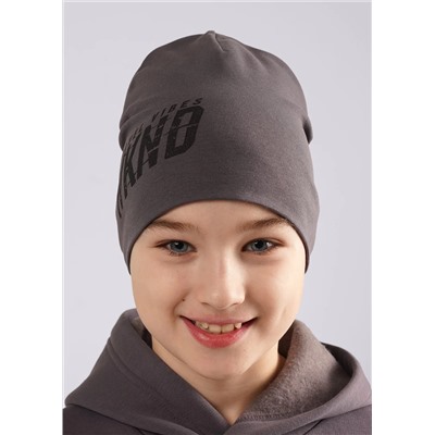 CLEVER Шапка 566026/1рп