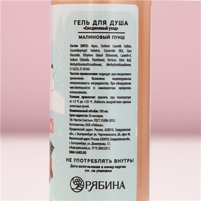 Новогодний подарочный набор косметики «Волшебной зимы»: гель для душа 100 мл и бомбочка для ванны 40 г, Чистое счастье