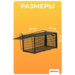 Крысоловка, 27×14×14 см, металлическая, Greengo