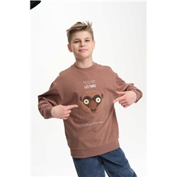 Толстовка для мальчиков