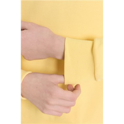 Костюм (Свитшот+Брюки) MARK FORMELLE, 1092708