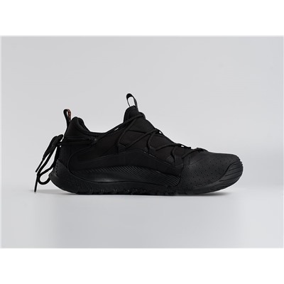Кроссовки Nike ACG Air Terra Antarktik Low