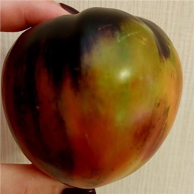 7006T Томат Блаженство 10шт