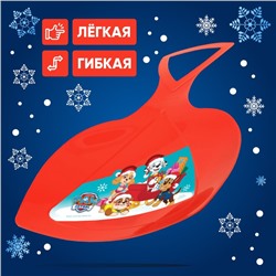 Ледянка Paw Patrol