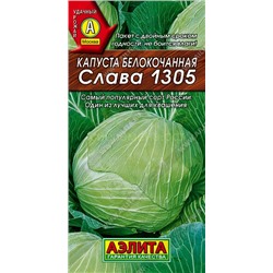 Капуста бк Слава 1305 (Аэлита)