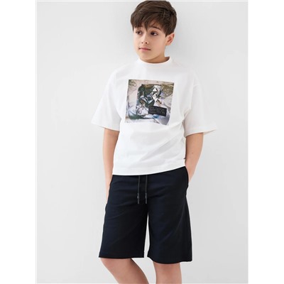 PLAYTODAY Шорты 12611237