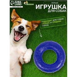 Жевательная игрушка для собак «Кольцо», 6.7×2 см, прозрачная, PP, синяя