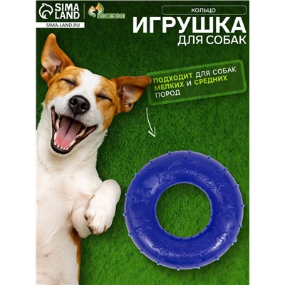 Жевательная игрушка для собак «Кольцо», 6.7×2 см, прозрачная, PP, синяя