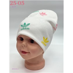 шапка 2054025-4